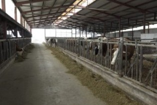 ZUCA d.o.o. Cazin planira proizvoditi 1500 litara mlijeka dnevno
