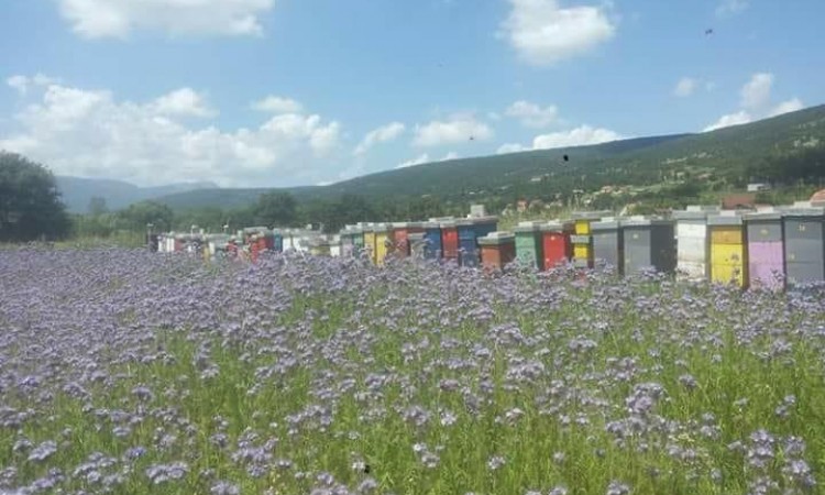 Livno: Projekt dodjele pčelinjih društava s kompletnom pčelarskom opremom