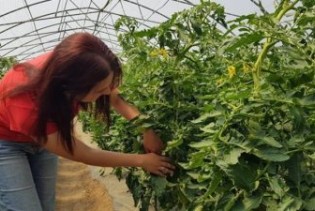 Salihović: Za mlade poljoprivrednike ima budućnosti u Bosni i Hercegovini
