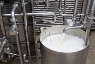 Mljekare u RS u avgustu prikupile manje mlijeka