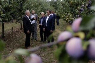 Dedić obišao plantažu šljiva i farmu 'Agro Mašić' u Gradačcu