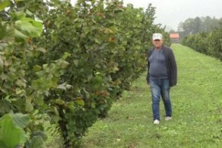 Lješnik kod sanskog proizvođača izgurao jagodu