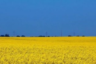 FAO upozorava na rast cijena hrane do 20 posto zbog ruske invazije na Ukrajinu