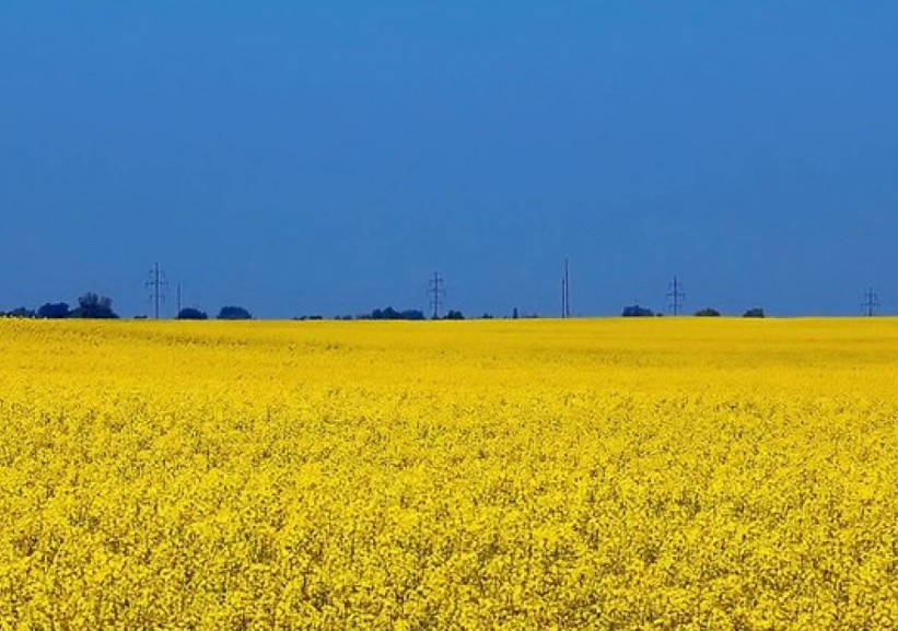 FAO upozorava na rast cijena hrane do 20 posto zbog ruske invazije na Ukrajinu