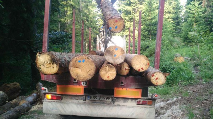 Izvoz drvnog sektora BiH povećan za 22,3 posto