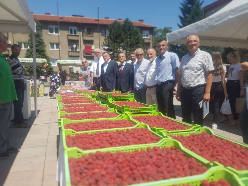 Ministar Dedić otvorio 'Dane maline': Potražnja za bh. malinama u porastu