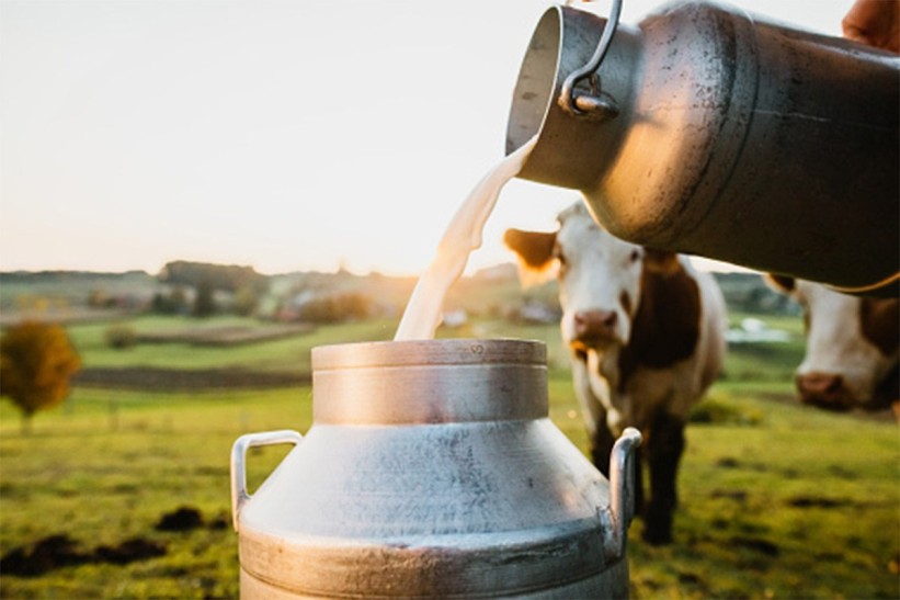 Propisana nova maksimalna maloprodajna cijena mlijeka u Srbiji