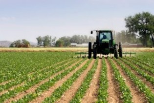 Prijave za bespovratna sredstva podnijelo više od 1.500 poljoprivrednika