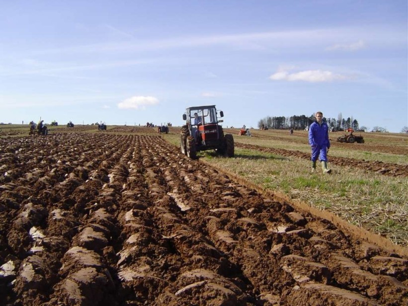 EU4AGRI objavio javni poziv za podršku investicijama u poljoprivredi - 2 miliona KM na raspolaganju