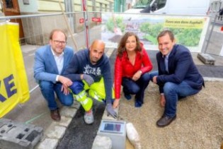 Novi izum Beča: 'Spužvasti kamen' za inteligentno zalijevanje gradskog drveća