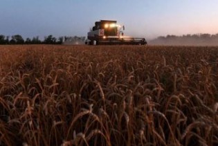 Rusija obustavila učešće u sporazumu o izvozu žita Crnim morem