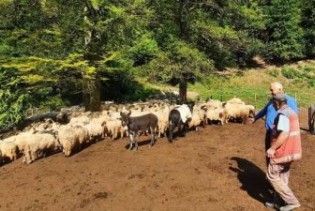 Marić posjetio 'zaboravljene' ovčare u Pojskama kod Zenice