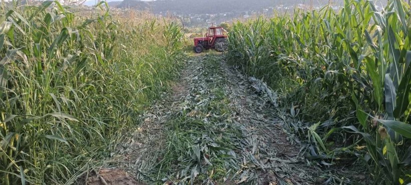 Vremenske neprilike i poskupljenja uslovili jednu od najtežih godina za poljoprivrednike u USK