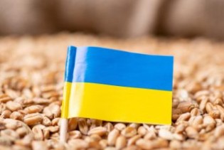 Ukrajina bi mogla zatražiti međunarodnu arbitražu oko ograničenja na izvoz žita