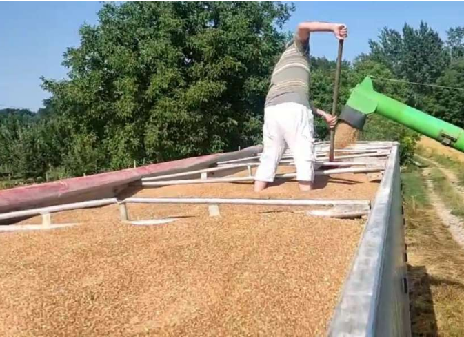 Preporuke UN-a domaćim vlastima BiH o načinima kako prevazići krizu u poljoprivredi i osigurati sigurnost hrane