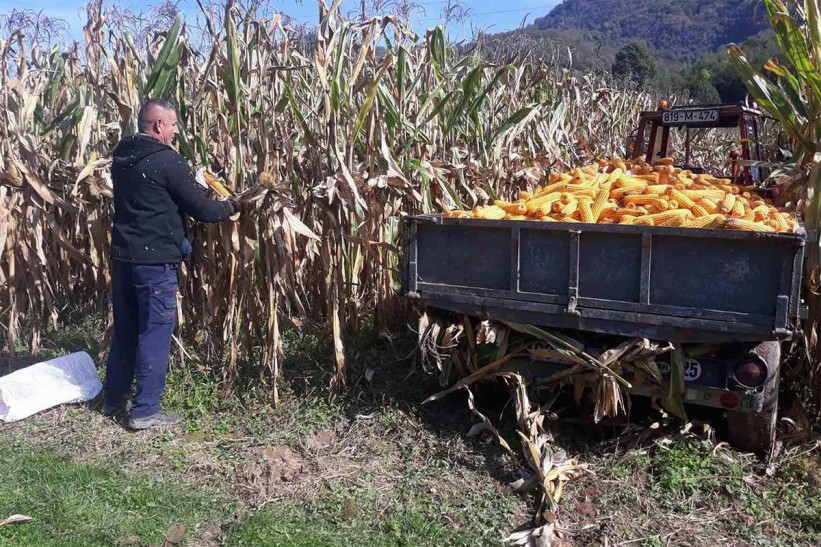 Ratari ne pamte lošiju godinu