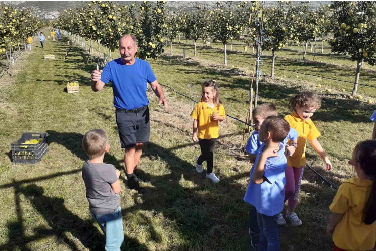 Dunjik Danila Škere odolio nepogodama, rakija će biti još bolja