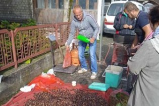 USK: Podbacio urod kestena, porasla i maloprodajna cijena