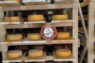 Trapist, sir koji je iz BiH obišao svijet mogao bi dostići proizvodnju od pet tona mjesečno
