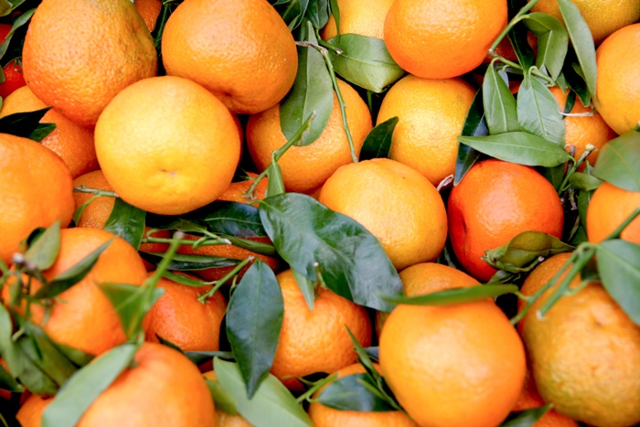 Federalna inspekcija: Zabrana uvoza mandarina iz Hrvatske