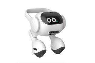 LG proizveo AI robota koji može nadzirati ljubimce