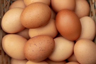 U Hrvatskoj se prodaju ubjedljivo najskuplja jaja u Evropskoj uniji
