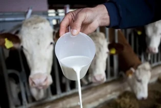Stočarstvo i prerada mlijeka siguran izvor zarade