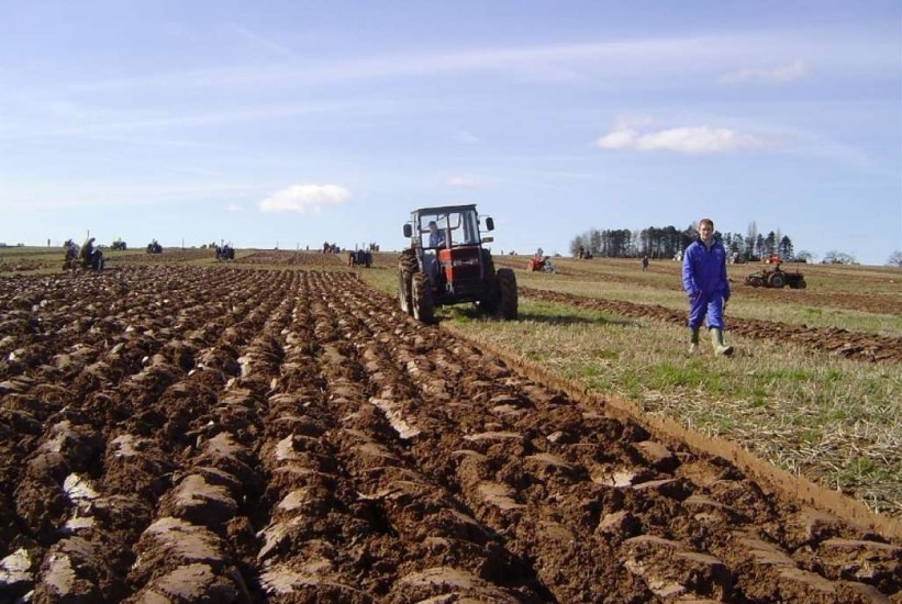 Nakon 63 godine u BiH će biti obavljen prvi popis poljoprivrede