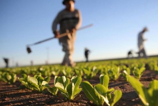 Poljoprivrednici u FBiH će u 2024. imati na raspolaganju 199 miliona KM