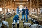 Ministar Hrnjić pozvao poljoprivredne proizvođače da se uključe u javnu raspravu o novčanoj podršci