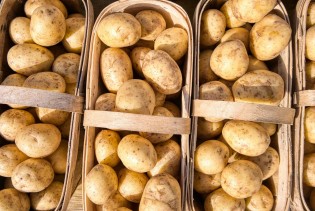 Sirijski krompir u BiH, a domaći proizvođači bore se s crnim tržištem