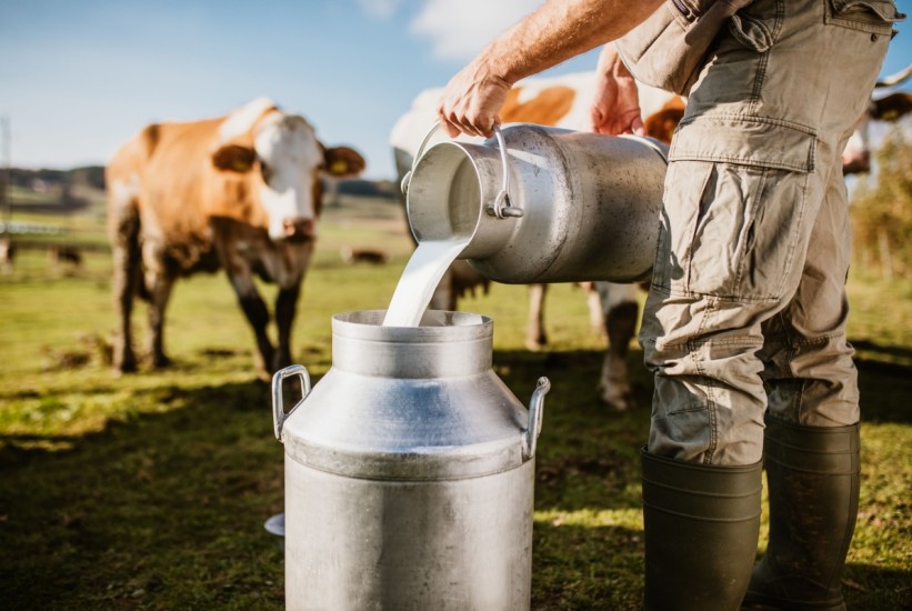 Drastičan pad proizvodnje mlijeka u Srbiji
