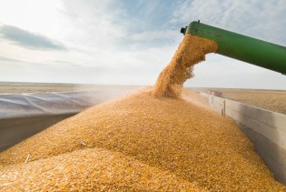 EK predlaže povećanje carina na uvoz žitarica iz Rusije i Bjelorusije