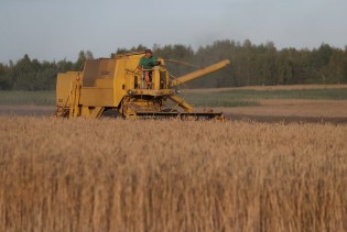 EU postigla dogovor o produženju bescarinskog režima za ukrajinske poljoprivredne proizvode