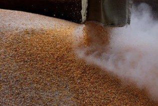 EU će uvesti carine na uvoz ruskog žita