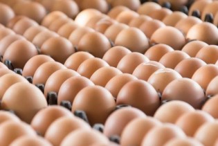 Proizvodnja jaja i njihov izvoz iz BiH u porastu