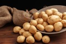 Ruski izvoz krompira udvostručen u prvom kvartalu 2024.