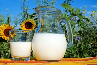 Rekordne otkupne cijene mlijeka u Srbiji među najvišim u Evropi