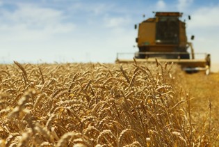 Nova mađarska ograničenja na uvoz ukrajinskih poljoprivrednih proizvoda