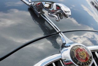 Jaguar ukida čak pet modela
