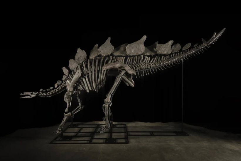 Novi rekord: Kostur dinosaurusa prodat za 44,6 miliona dolara