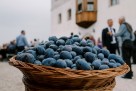 Sve je spremno za otvaranje 53. Sajma šljive u Gradačcu