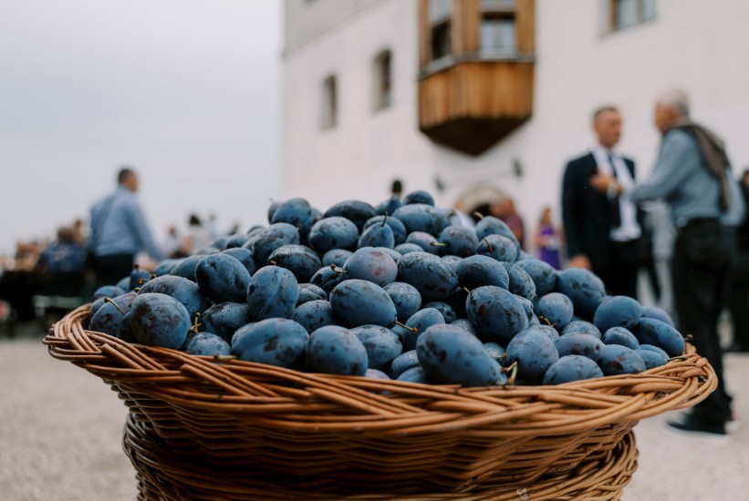 Privode se kraju pripreme za 51. Sajam šljive, najveći uvoznik gradačačke šljive Njemačka