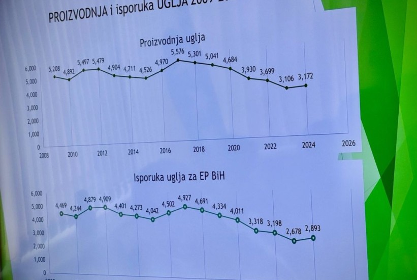 Danas odluka o poskupljenju struje: Gdje su sad eko udruženja?