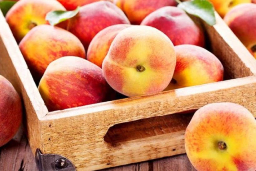 Poljoprivrednici traže hitnu reakciju nadležnih zbog breskvi opasnih po zdravlje iz Albanije