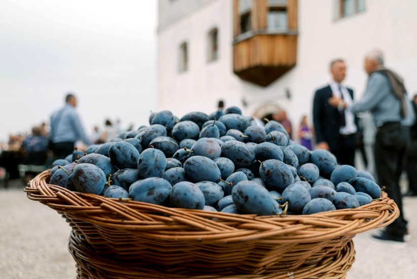 Počinje Sajam šljive u Gradačcu