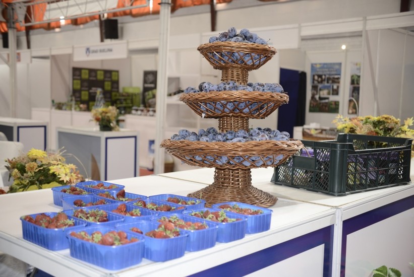 Sve spremno za otvaranje 52. Sajma šljive u Gradačcu, očekuje se 150 izlagača