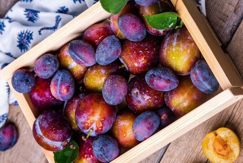 Sajam 'Dani šljive' 15. i 16. septembra u Prozor-Rami