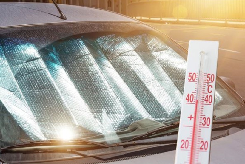 Šta se dešava u automobilu za samo 20 minuta na suncu?