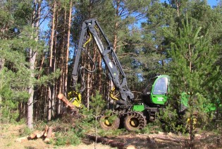 Bivši direktor Unsko-sanskih šuma: Na računima 5,8 miliona KM više nego pri mom dolasku